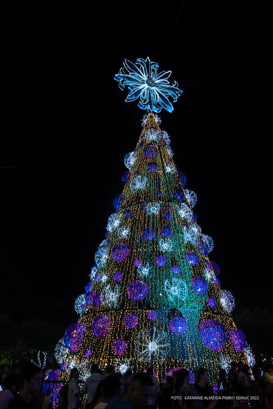 Acendimento de luzes de árvores de Natal gigantes em praças de Boa Vista encanta população