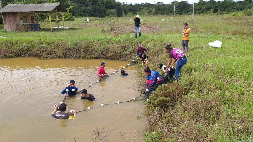 Projeto de Aquicultura do IFRR concorre a prêmio nacional; saiba como votar