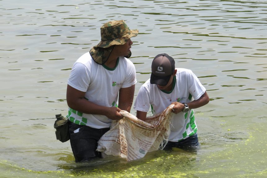 IFRR oferta inscrições gratuitas para curso técnico em aquicultura