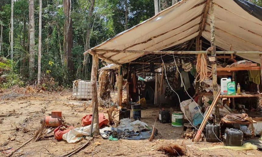 Garimpo ilegal é responsável pelo aumento de 309% do desmatamento na Terra Yanomami