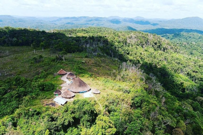 Governo Federal envia mais 220 agentes da Força Nacional à Terra Yanomami