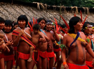 Relatos apontam 30 casos de jovens Yanomami grávidas de garimpeiros