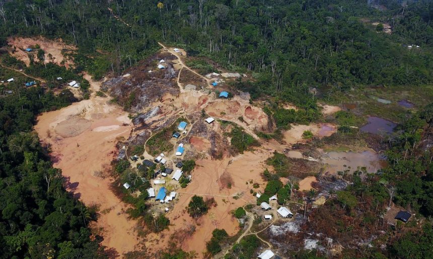 Operações na Terra Yanomami destruíram mais de 300 acampamentos de garimpeiros