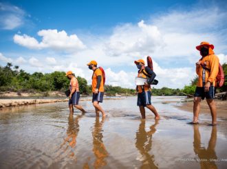 Defesa Civil alerta banhistas sobre ataques de piranhas em rios e igarapés