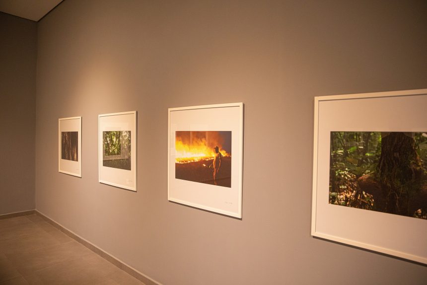 Último Jardim: Boa Vista recebe exposição fotográfica sobre a Amazônia