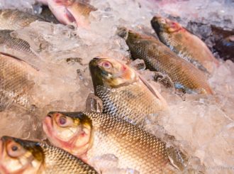 Vigilância Sanitária de Boa Vista alerta população sobre os cuidados na hora de comprar peixe