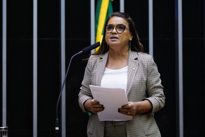 Deputada Helena quer segurança nas escolas e creches de todos o País