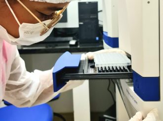 RR confirma 26 casos de oropouche e mayaro e Sesau emite alerta