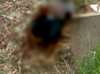 Homem é encontrado morto com perfurações pelo corpo no bairro Asa Branca