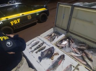 No período de defeso, PRF apreende 200 kg de peixe pescados de forma irregular em RR