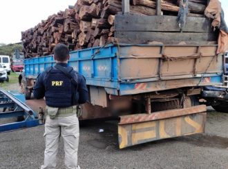 PRF apreende duas carretas com madeira ilegal em Roraima