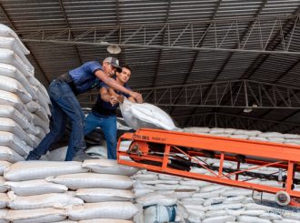 Prefeitura libera 400 toneladas de insumos para agricultores em Boa Vista