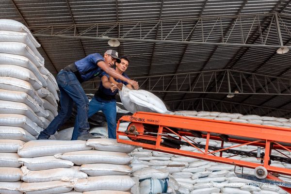 Prefeitura libera 400 toneladas de insumos para agricultores em Boa Vista