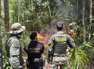 PF destrói três aeronaves que davam suporte a garimpeiros na Terra Yanomami