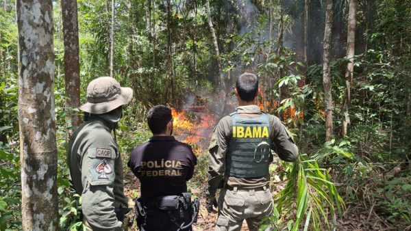 PF destrói três aeronaves que davam suporte a garimpeiros na Terra Yanomami