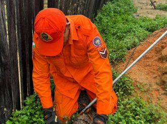 Política de proteção a animais resgatados em desastres agora é lei
