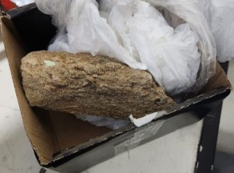 Serralheiro é preso após tentar enviar pedra no lugar de celular avaliado em R$ 3,3 mil pelos Correios em RR