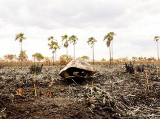 Após prorrogar autorização para uso de fogo em Roraima, fumaça toma conta da capital e Governo suspende calendário de queimadas