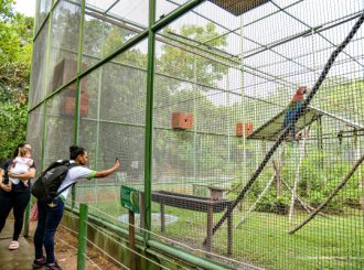 Semana do Meio Ambiente: programação no Bosque dos Papagaios conta com dinâmicas, mostra fotográfica e exposição