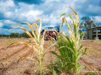 Agro BV: ‘maior feira da agricultura de RR’ ocorre de 28 a 30 de julho no Bom Intento