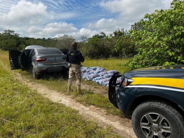 PRF apreende em Roraima mais de 1 tonelada de alho contrabandeado da Guiana