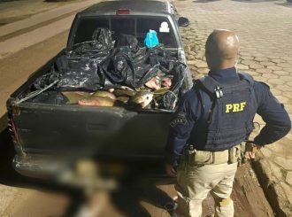 PRF apreende mais de 1 tonelada de tambaqui  na BR-174