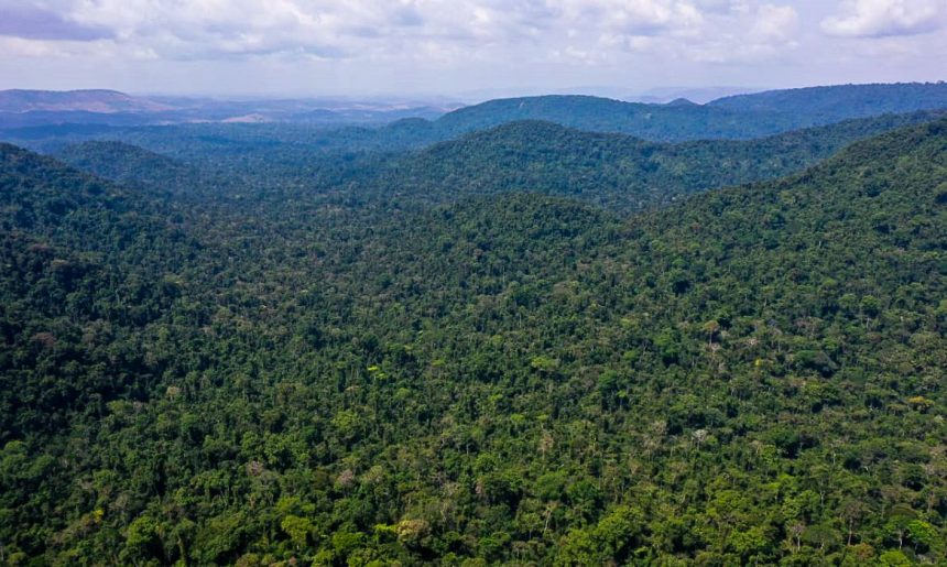 Governo Federal cria Floresta Nacional do Parima em Roraima