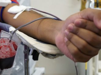 Fiocruz desenvolve kit que detecta sangue infectado com malária