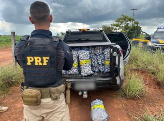 PRF apreende mais de uma tonelada de alho avaliada em R$ 20 mil