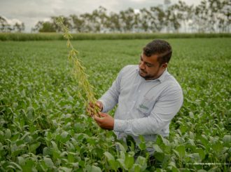 Com investimento tecnológico, empresários apresentam cultivares e fertilizantes durante a AgroBV 2023