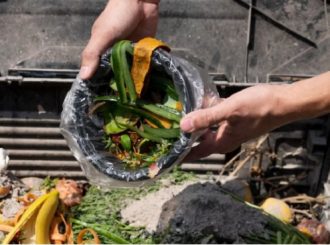 Sustentabilidade: 2º seminário sobre Economia Circular e Agroecologia ocorrerá em Boa Vista