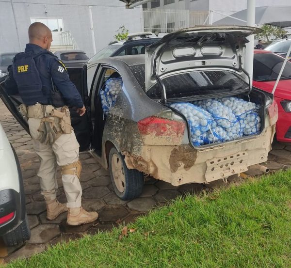 Homem é preso por contrabandear mais de uma tonelada de alho da Guiana para Roraima