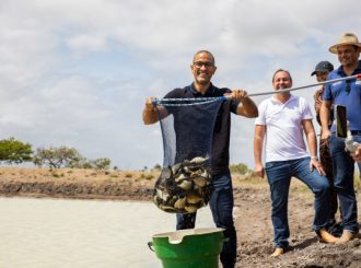 Mais de 1.100 famílias já foram beneficiadas com investimentos da Prefeitura de Boa Vista na agricultura