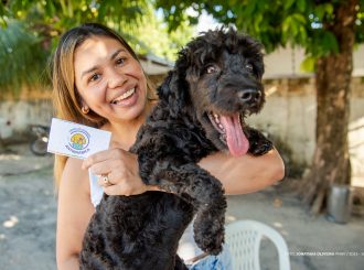 Mais de sete mil animais foram imunizados no segundo dia de campanha contra a raiva
