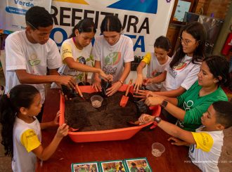 Integração: crianças e jovens dos projetos Conviver e Dedo Verde plantam e cultivam girassóis