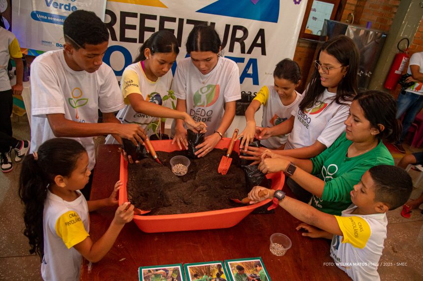Integração: crianças e jovens dos projetos Conviver e Dedo Verde plantam e cultivam girassóis