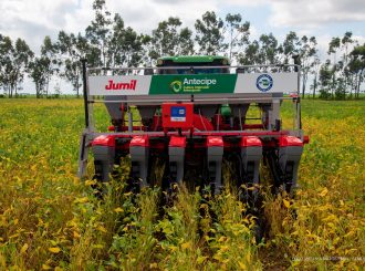 Prefeitura de Boa Vista busca novas técnicas de agricultura em Minas Gerais para o Centro de Difusão Tecnológica