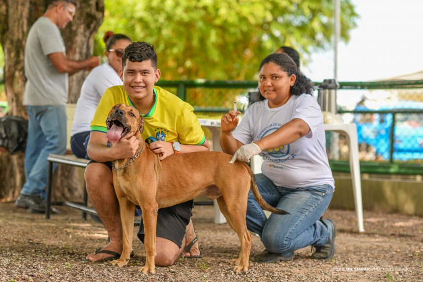 Mais de cinco mil cães e gatos são vacinados contra raiva no primeiro dia de campanha em Boa Vista