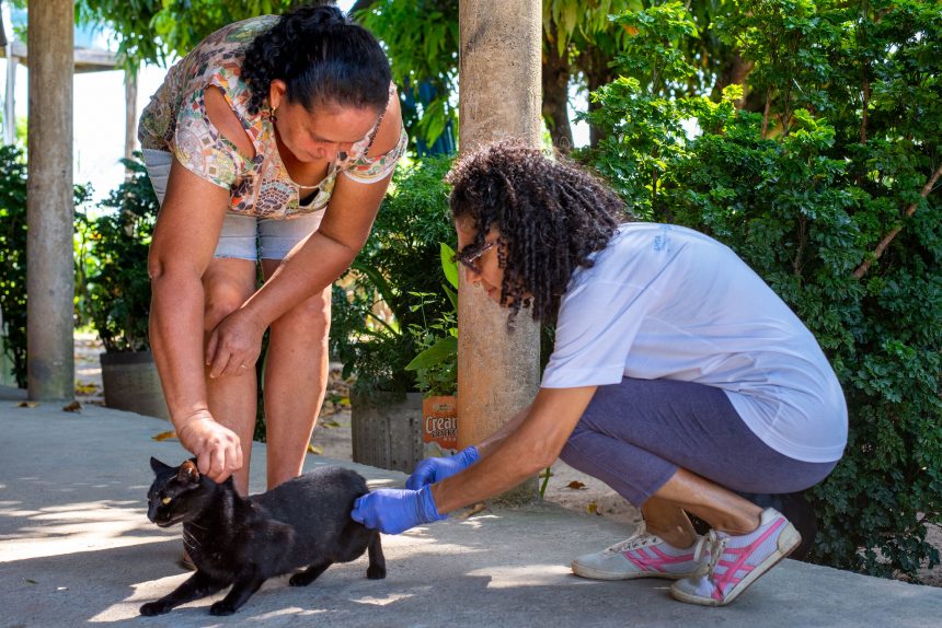Vacinação de cães e gatos contra a raiva segue na zona rural da capital até 30 de setembro; confira locais de imunização