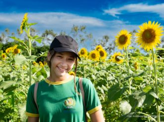 Alunos da rede municipal visitam campo de girassóis em Boa Vista
