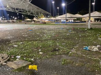 Governo não limpa Parque Anauá
