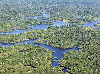 Organizações alertam sobre preservação da Amazônia