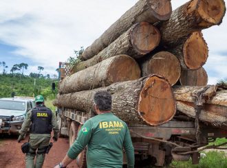 Governo Federal autoriza contratação de 257 servidores para o Ibama