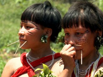 Ministério aperfeiçoa monitoramento de saúde de crianças indígenas