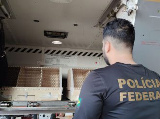 Araras e micos-leões-dourados traficados para o Suriname são devolvidos para o Brasil