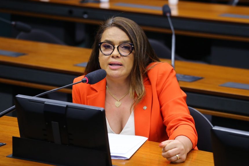 Deputada federal por Roraima anuncia recuperação de mais um trecho da BR-174 e BR-210