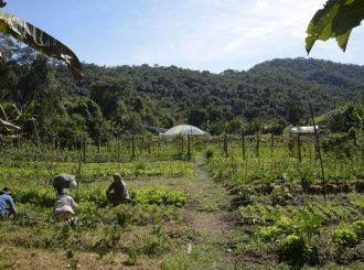 Lei institui política de empreendedorismo para jovens no campo