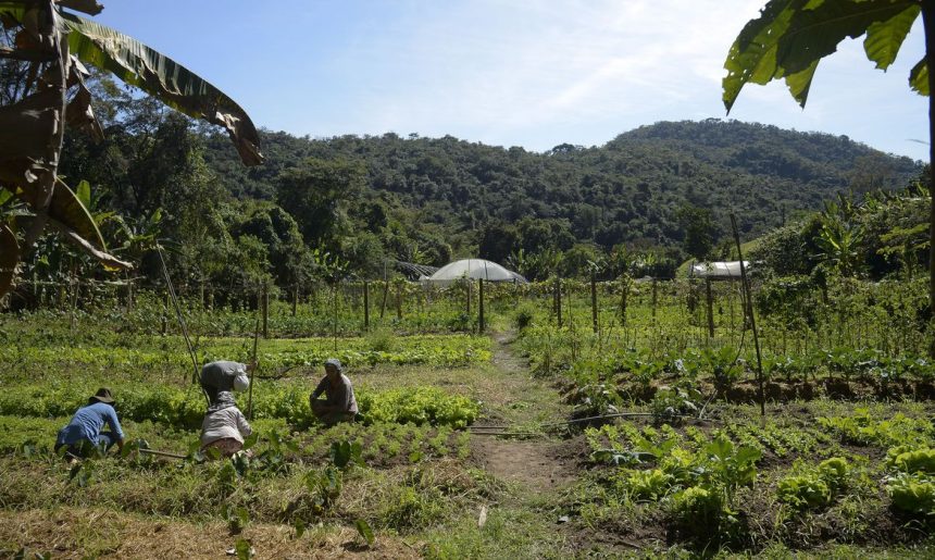 Lei institui política de empreendedorismo para jovens no campo