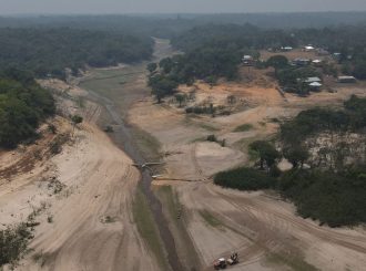 Poucas chuvas: saiba como desmatamento e queimadas influenciam tempo na Amazônia