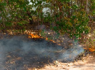 Prefeitura de Boa Vista lança campanha de prevenção a queimadas e incêndios